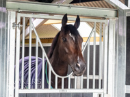 WG031025-72 - Jaramillo